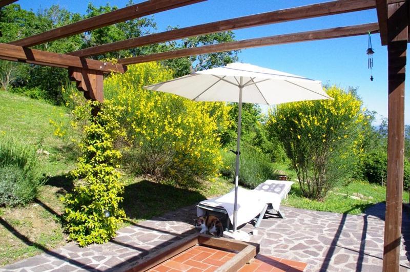B&B Harem Arcidosso Kültér fotó