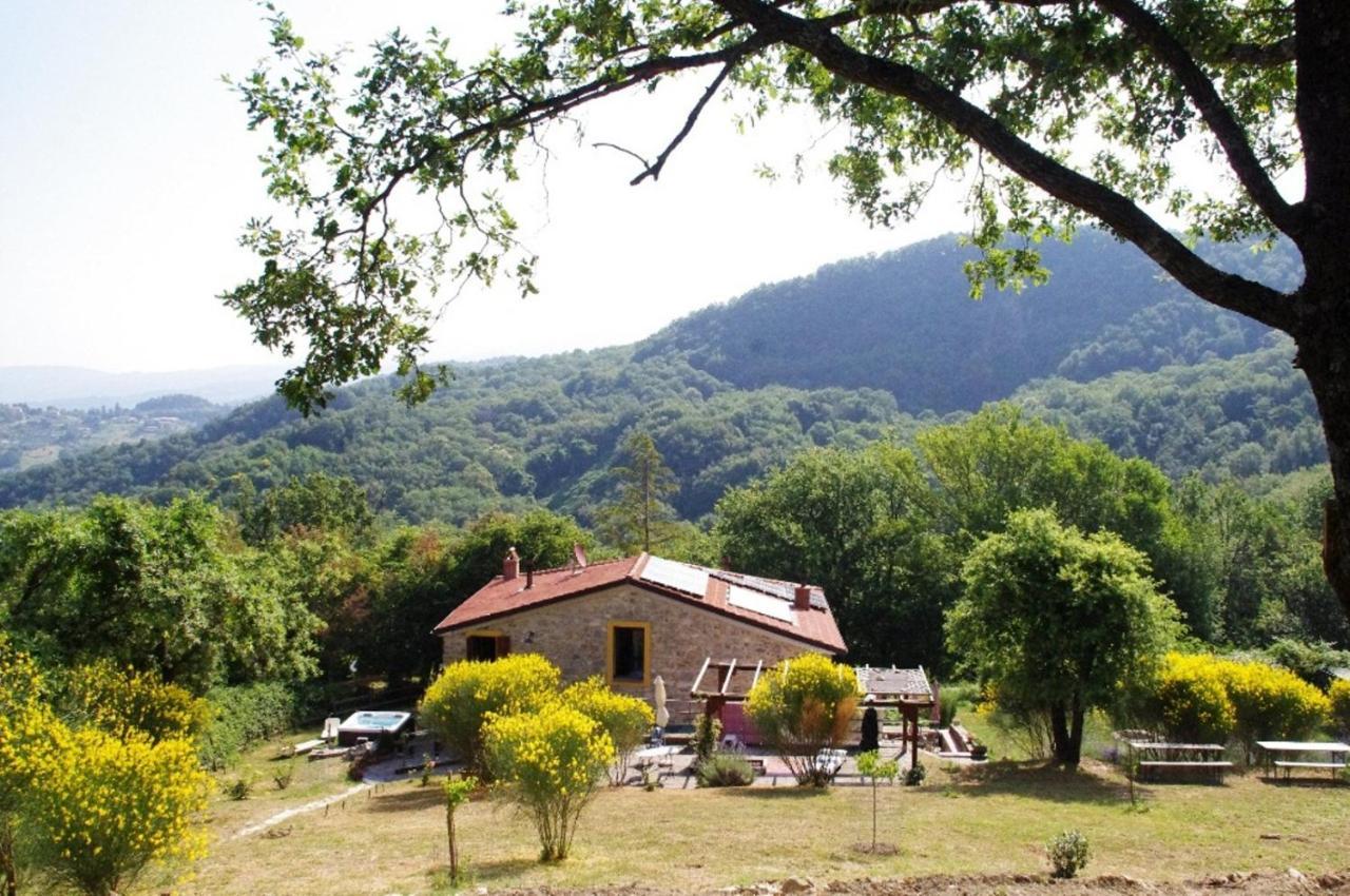 B&B Harem Arcidosso Kültér fotó