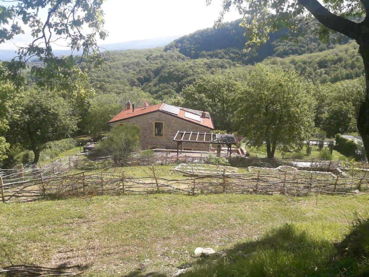 B&B Harem Arcidosso Kültér fotó
